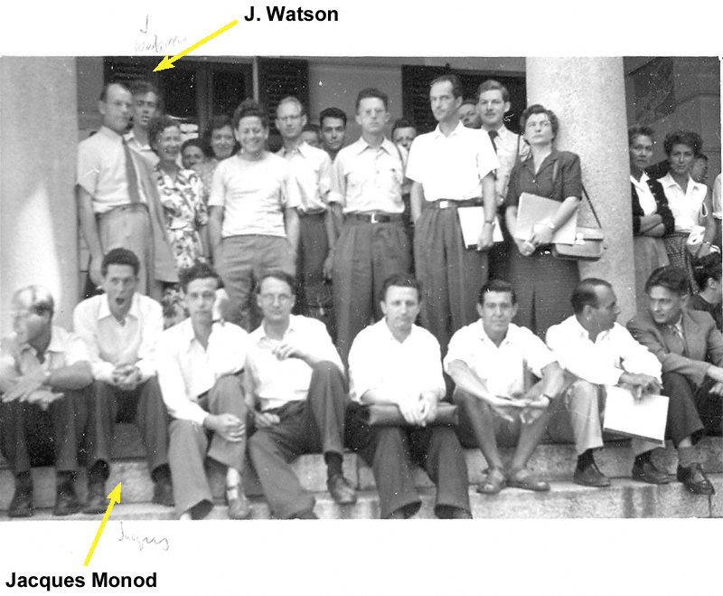J. Watson Monod